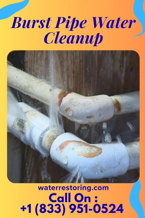 Burst Pipe Water Cleanup in Byram Center, NJ