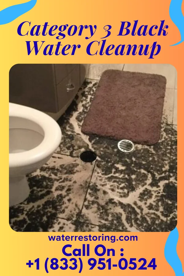 Category 3 Black Water Cleanup in Byram Center, NJ