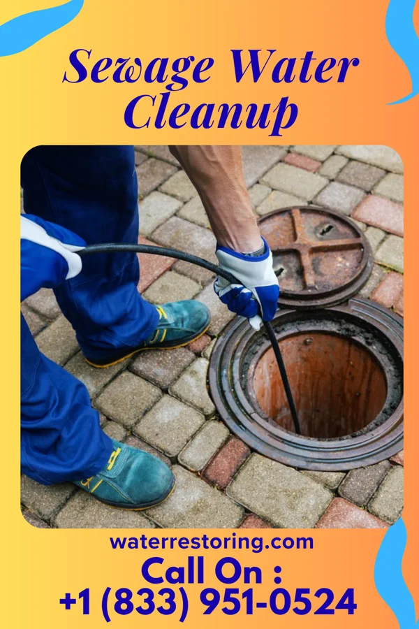 Sewage Water Cleanup in Byram Center, NJ