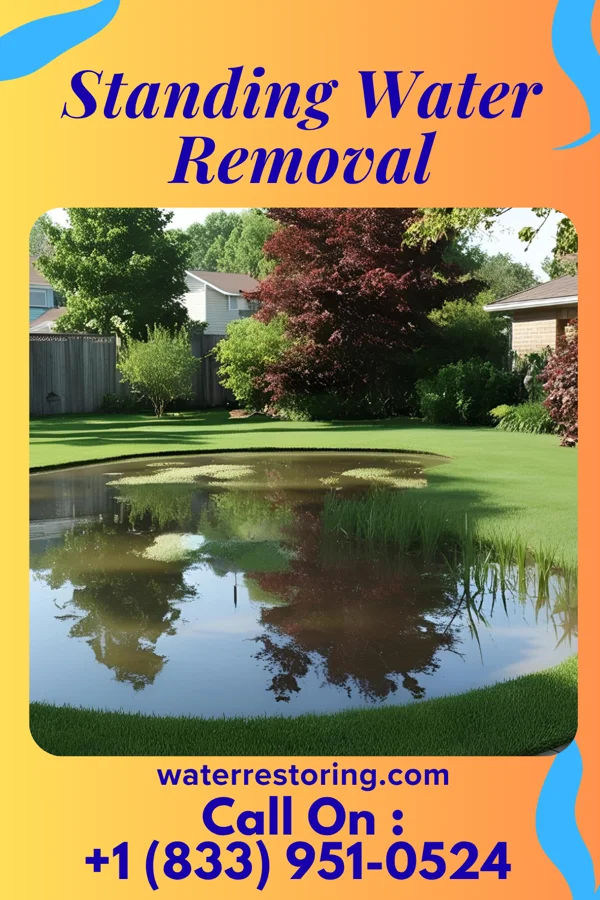 Standing Water Removal in Byram Center, NJ